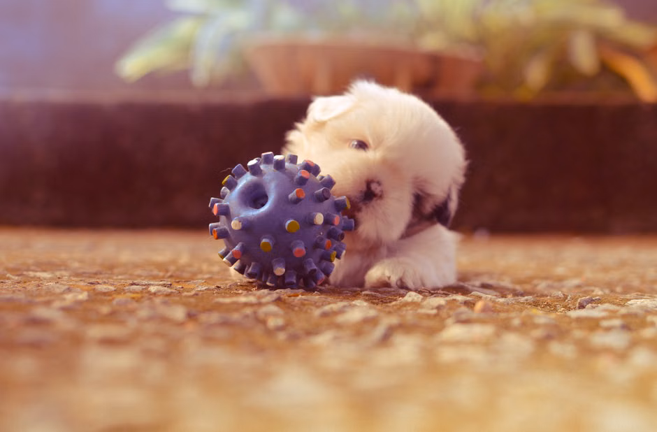 Bola de Borracha Resistente